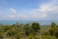 Rangitoto Island